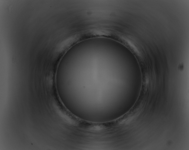 X0000091500402200708302002