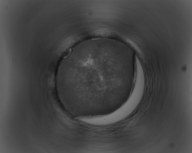 X0000091500403200708302002