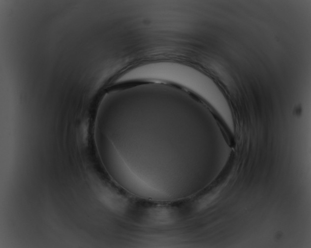 X0000091500404200708302002