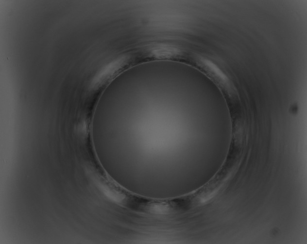 X0000091500405200708302002