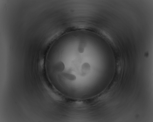 X0000091500406200708302002