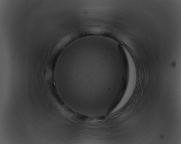 X0000091500407200708302002