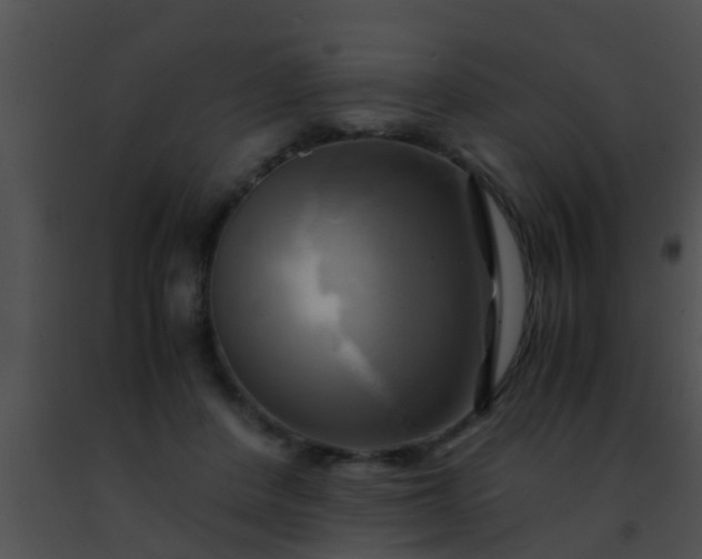 X0000091500408200708302002