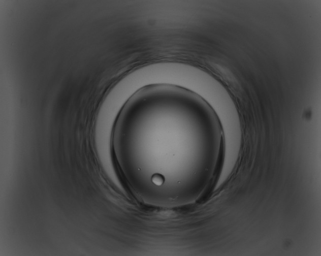 X0000091500409200708302002