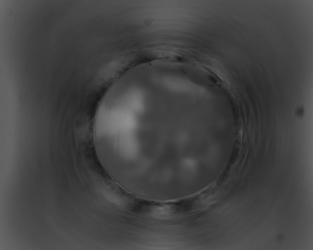 X0000091500411200708302002