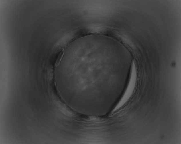 X0000091500413200708302002