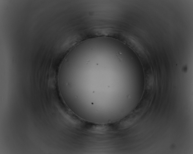 X0000091500414200708302002