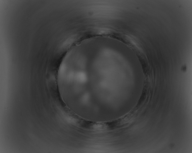 X0000091500415200708302002