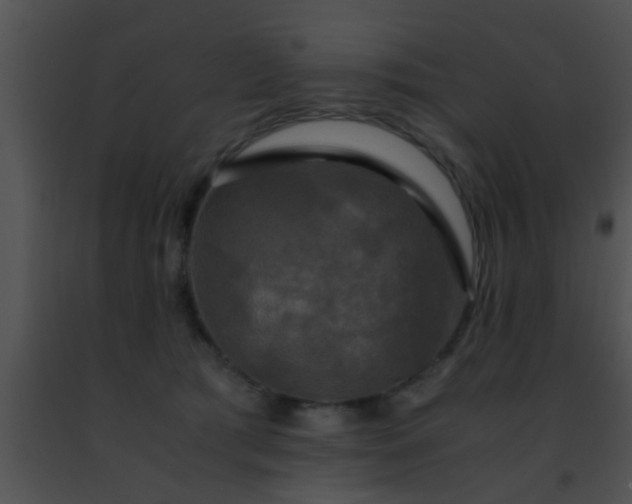 X0000091500417200708302002