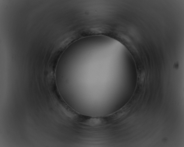 X0000091500418200708302002