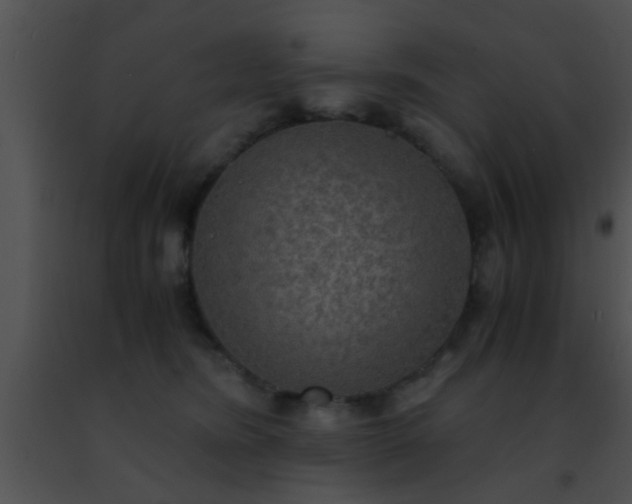 X0000091500420200708302002