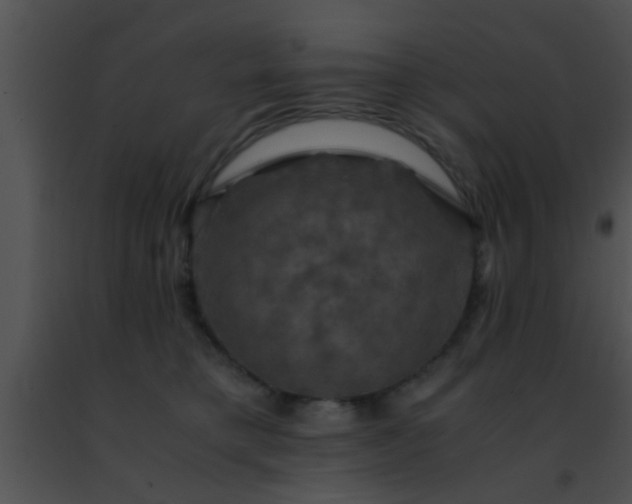 X0000091500421200708302002