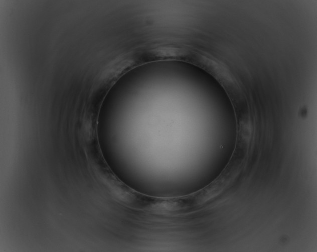 X0000091500422200708302002