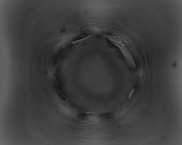 X0000091500423200708302002