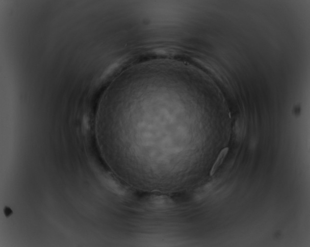 X0000091500424200708302002