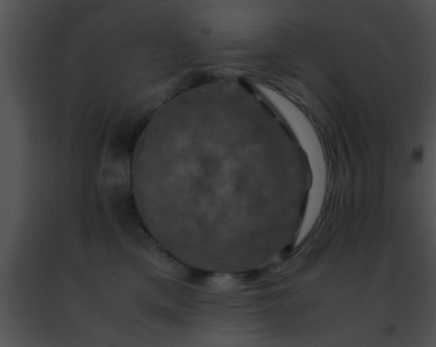 X0000091500425200708302002