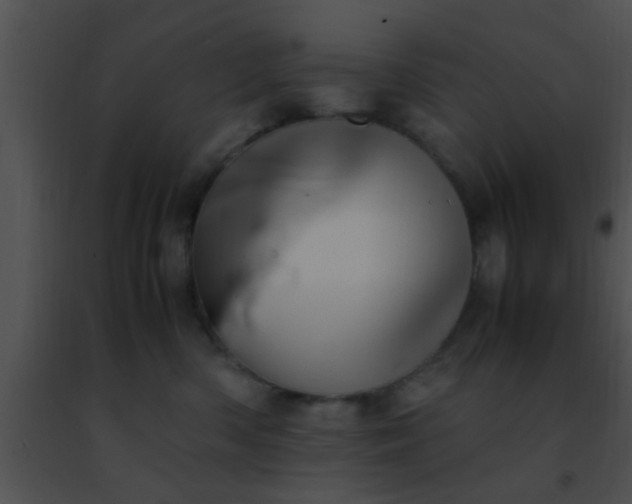 X0000091500426200708302002