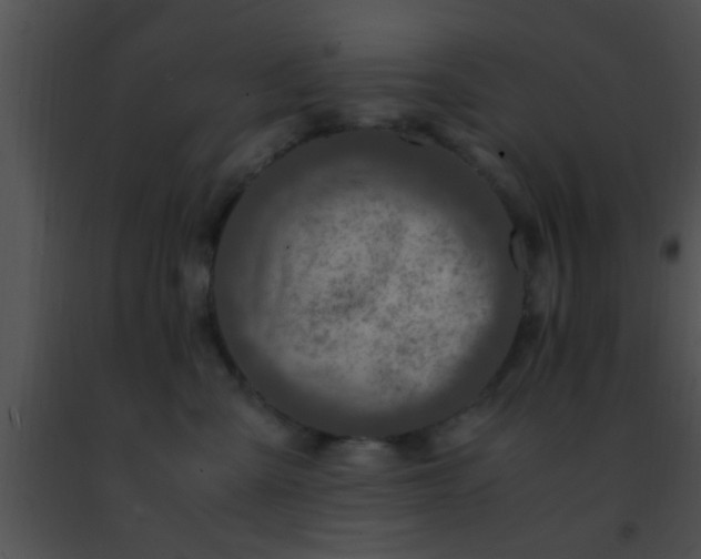 X0000091500427200708302002