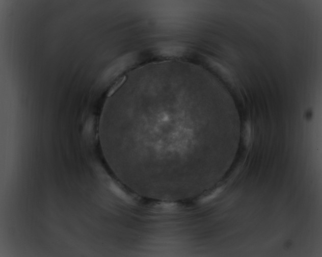 X0000091500428200708302002