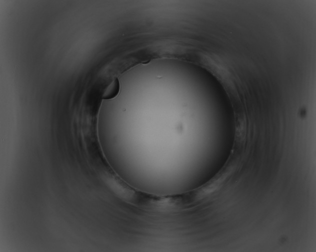 X0000091500430200708302002