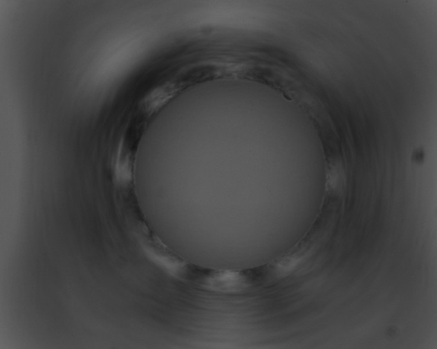 X0000091500431200708302002