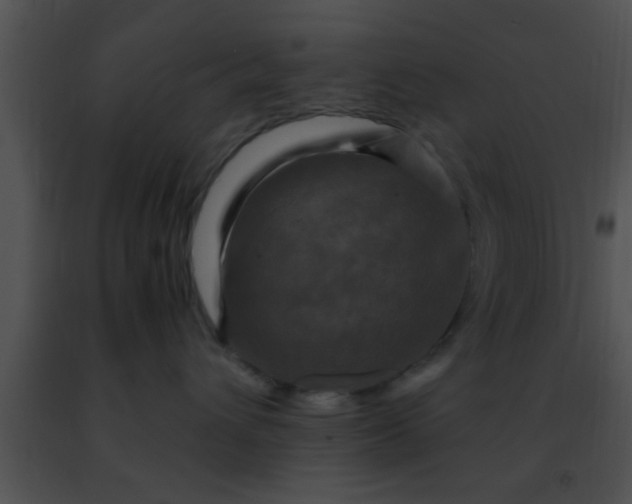 X0000091500432200708302002