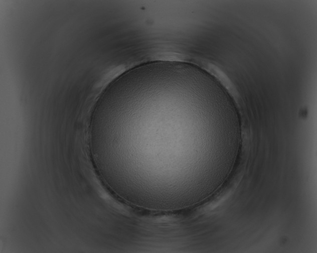 X0000091500433200708302001