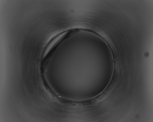 X0000091500434200708302001