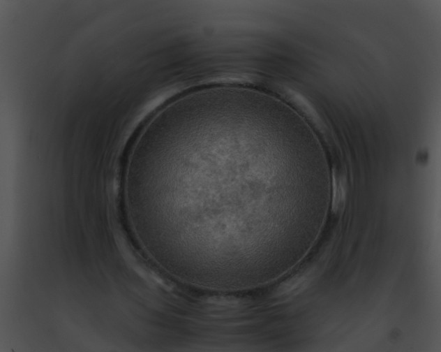 X0000091500435200708302001