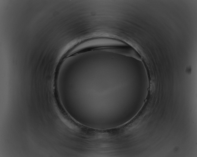 X0000091500438200708302001