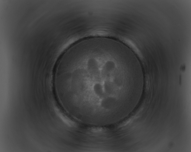 X0000091500439200708302001