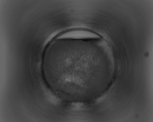 X0000091500440200708302001