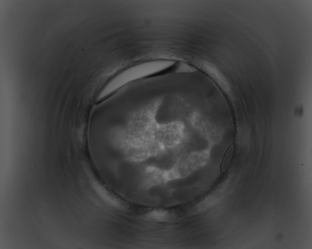 X0000091500441200708302001