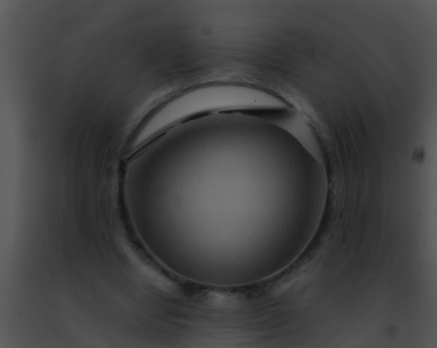 X0000091500442200708302001