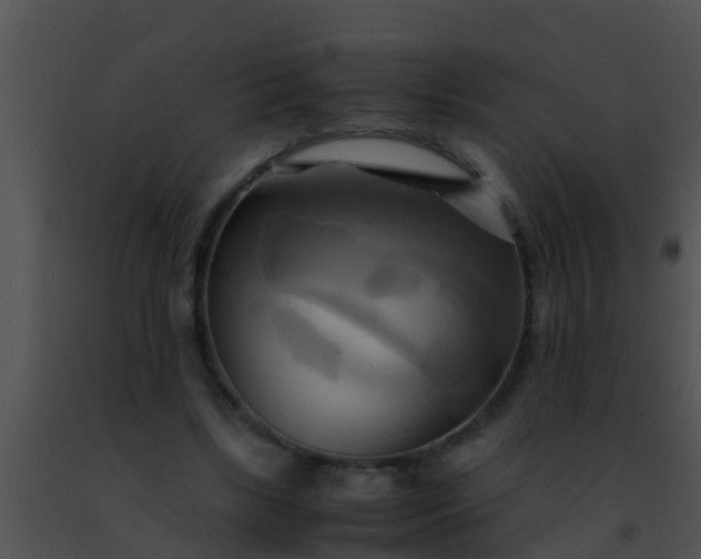 X0000091500443200708302001