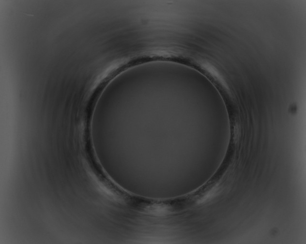 X0000091500444200708302001