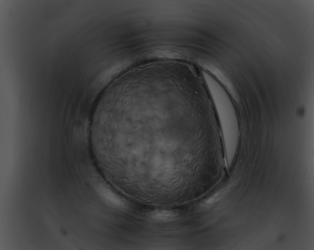 X0000091500445200708302001