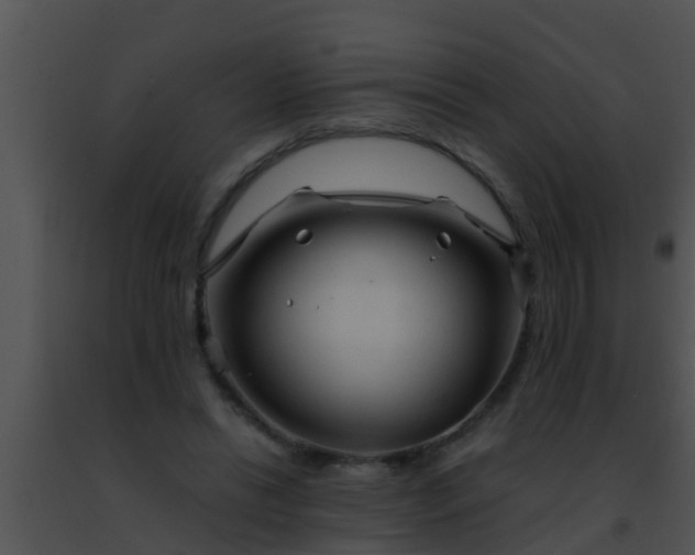 X0000091500446200708302001