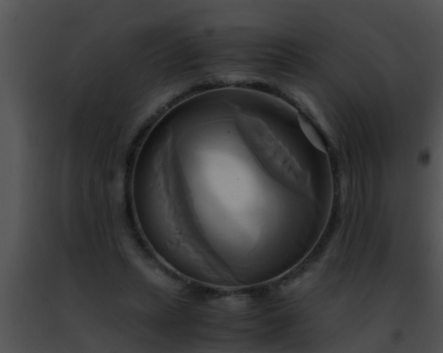 X0000091500447200708302001