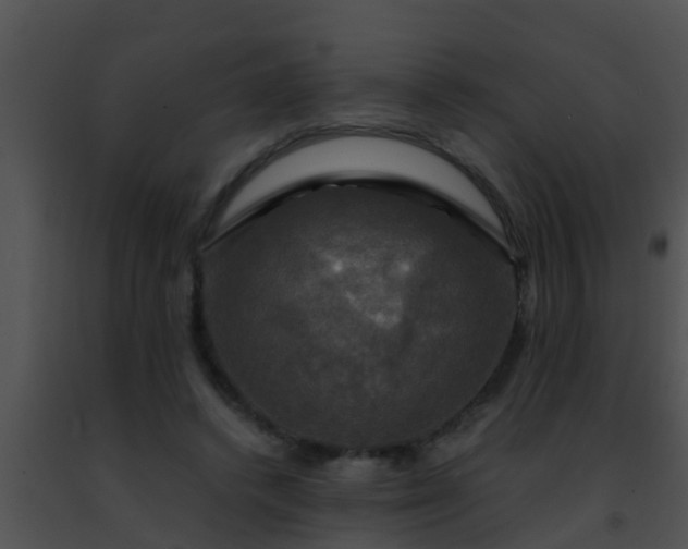 X0000091500448200708302001