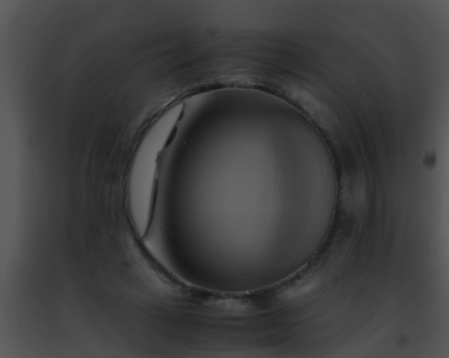 X0000091500449200708302001