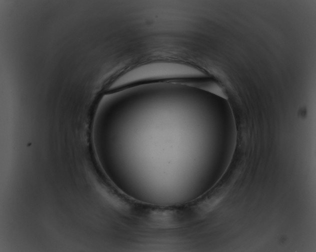 X0000091500450200708302001