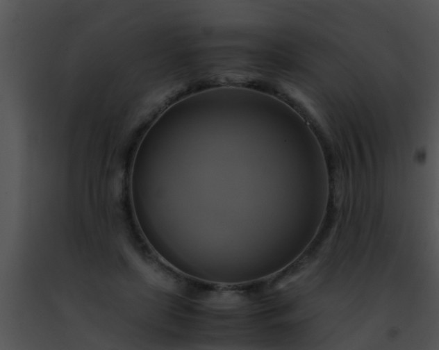 X0000091500451200708302001