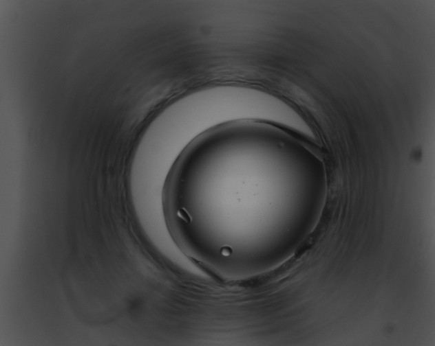 X0000091500452200708302001