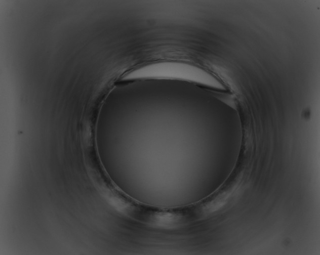 X0000091500453200708302001