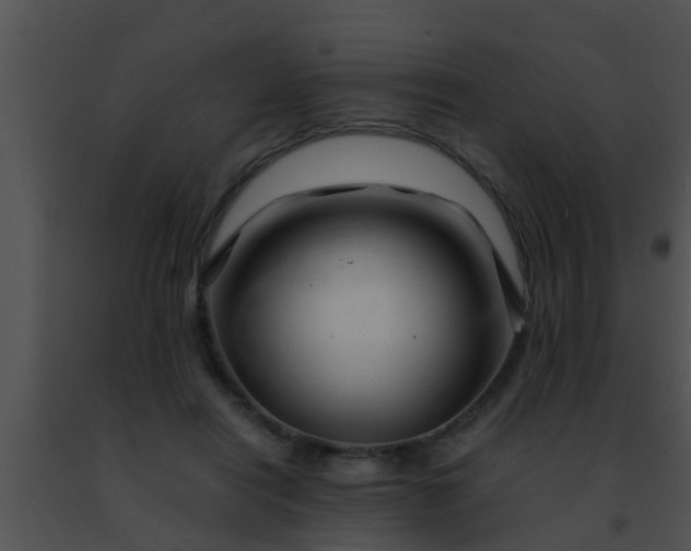 X0000091500454200708302001