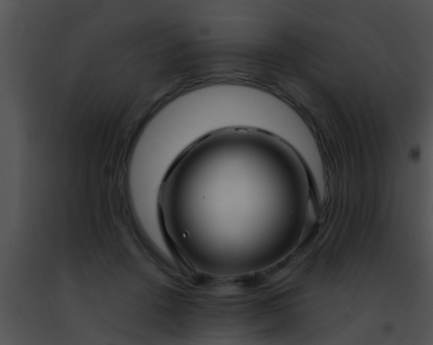 X0000091500456200708302001