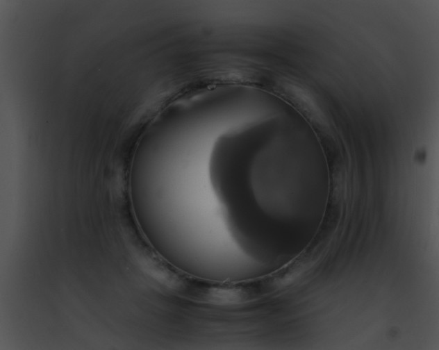 X0000091500457200708302001