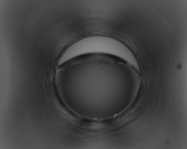 X0000091500458200708302001