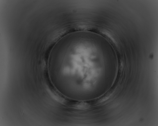 X0000091500459200708302001